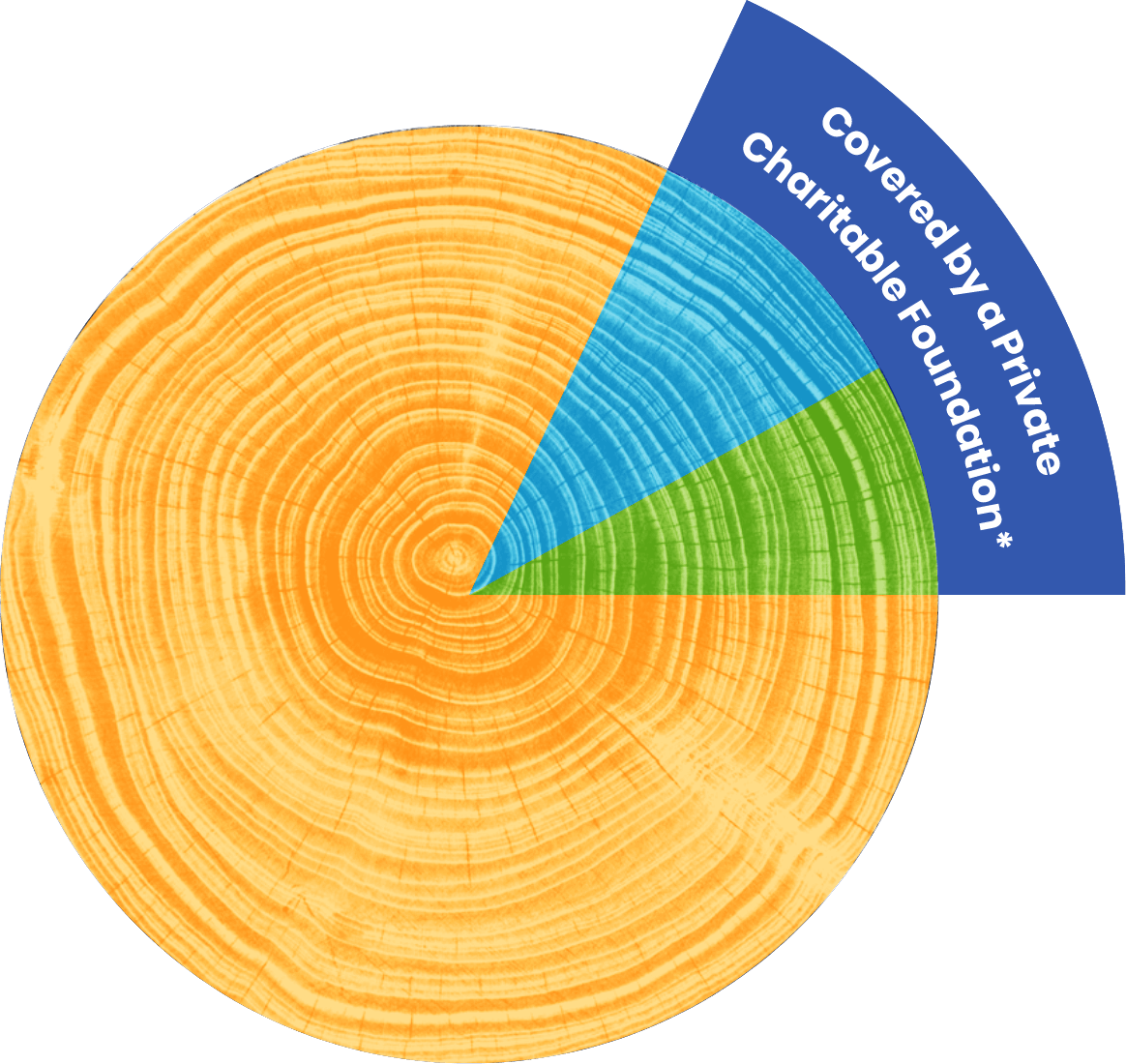 financial-graph A graph demonstrating financials: 82% Programs 100% of your donation supports our programs where local partners provide life-changing care. 10% Admin. 8% Fundraising These costs are covered by a private charitable foundation.